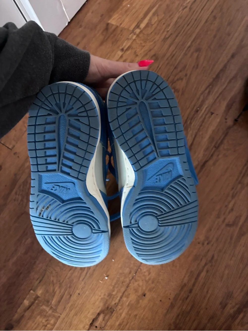 Nike Kids' Dunk Blue and Gray Low-Top Sneakers